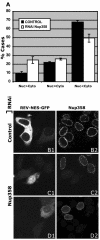 FIG. 6.