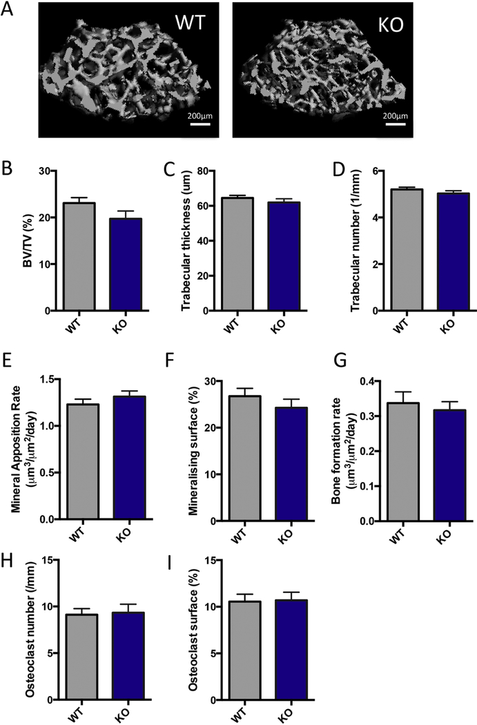 Figure 5: