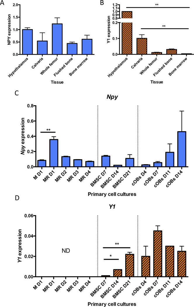 Figure 2: