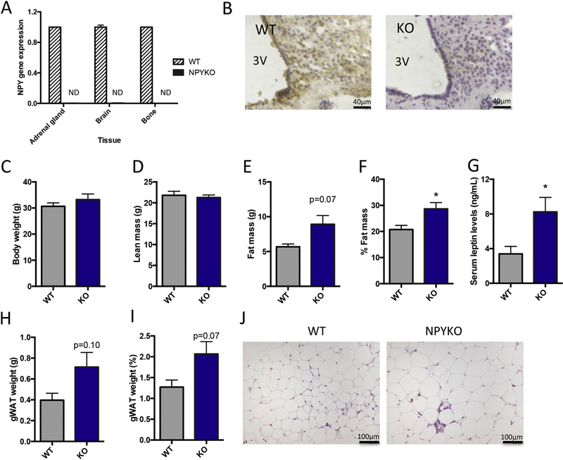 Figure 3: