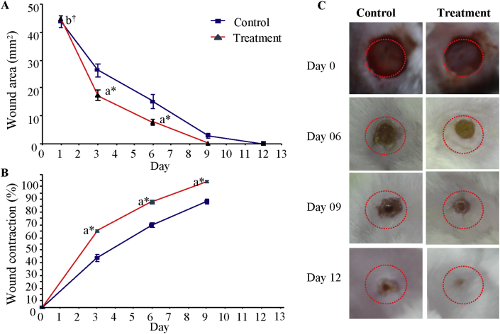 Figure 5