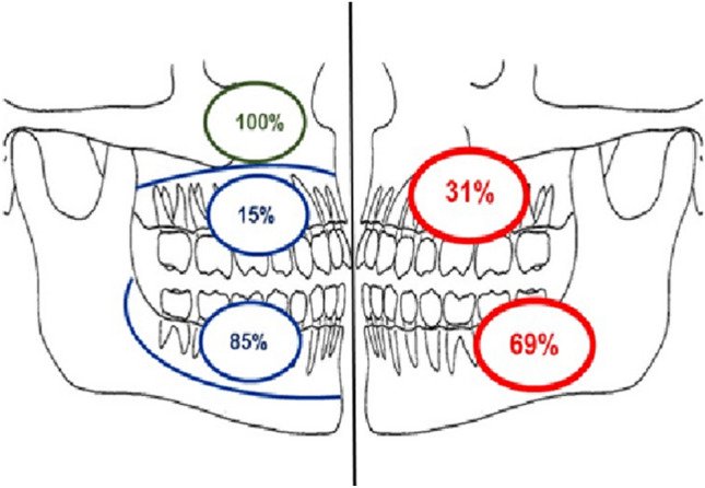 Fig. 8