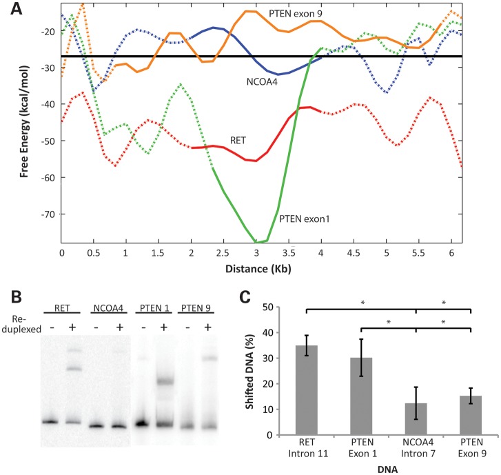 Figure 3.