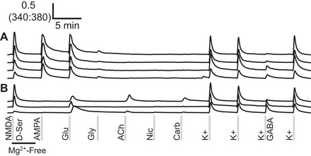 Fig. 2.