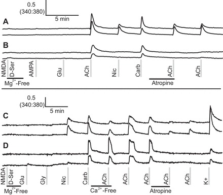 Fig. 3.