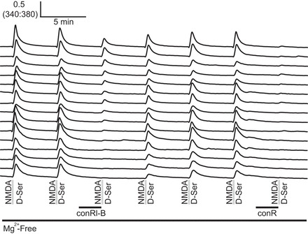 Fig. 6.