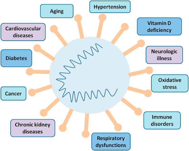 Figure 1