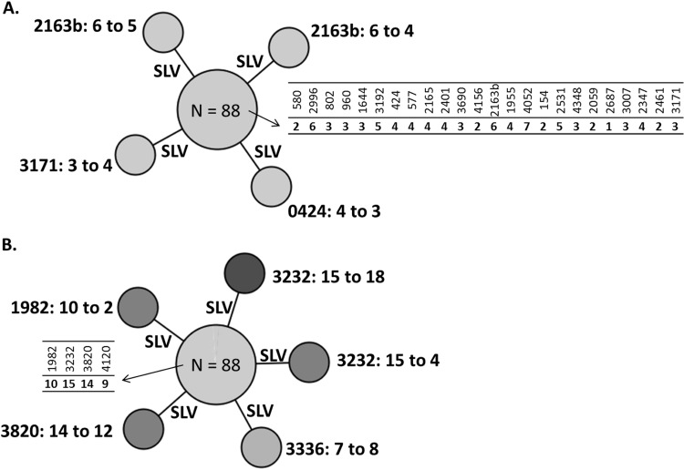 FIG 5