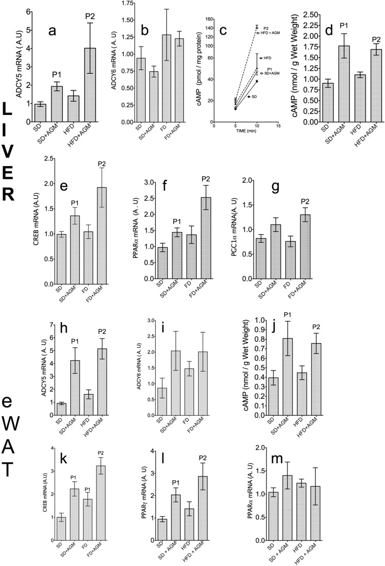 FIGURE 12.