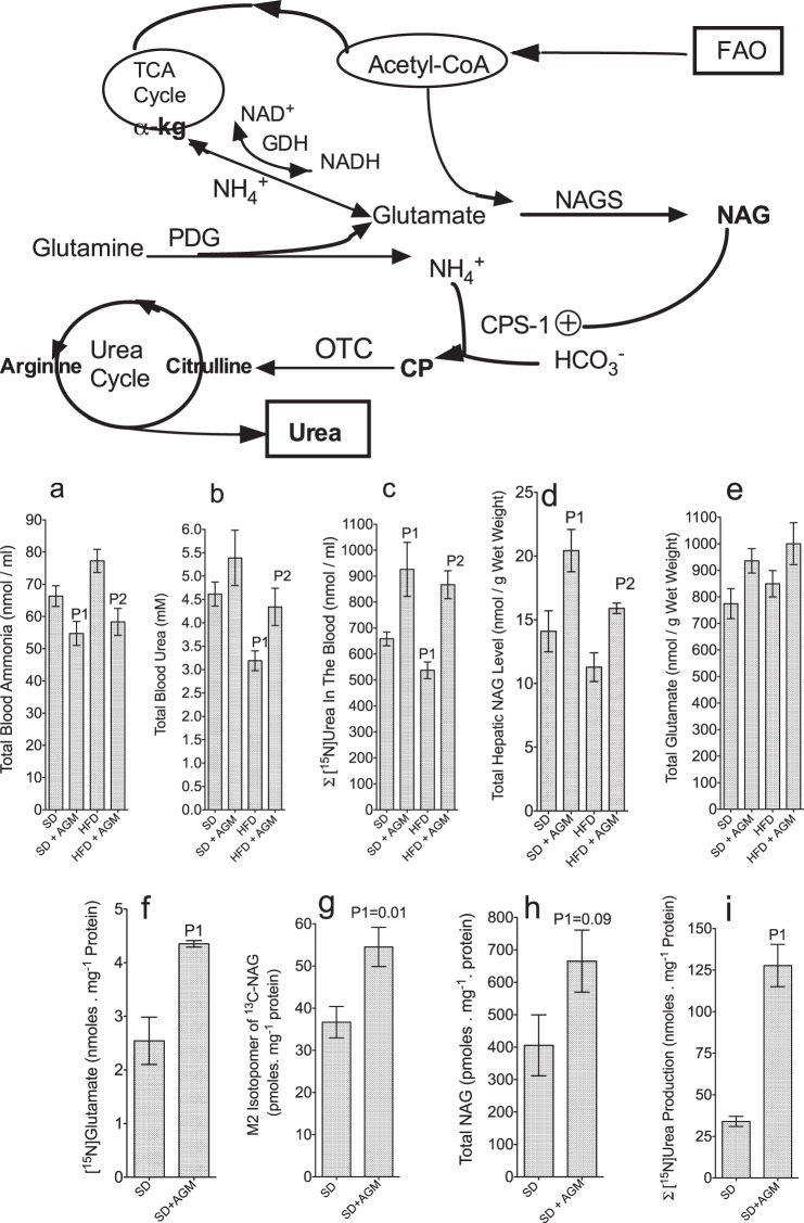 FIGURE 11.