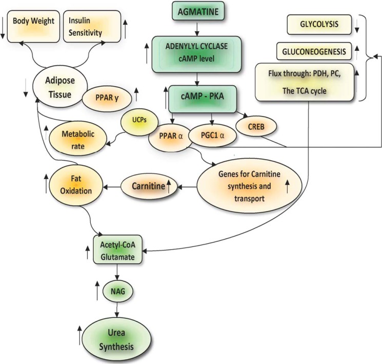 FIGURE 13.