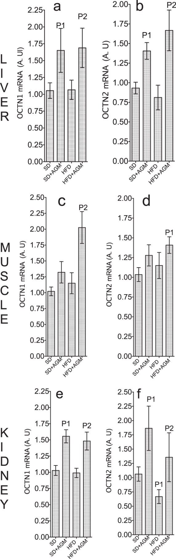 FIGURE 9.