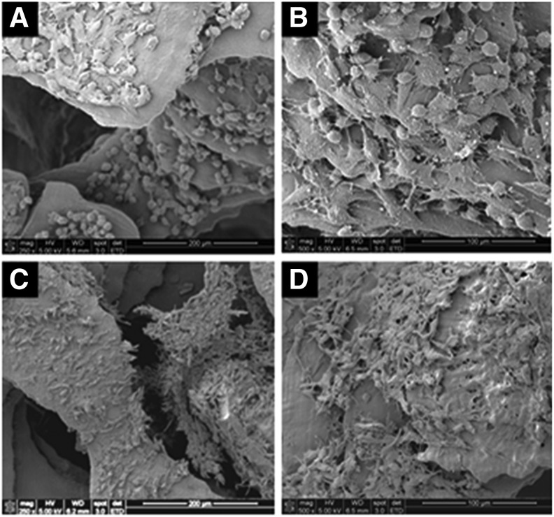 FIG. 8.