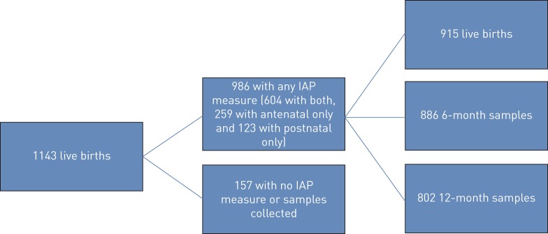 FIGURE 1