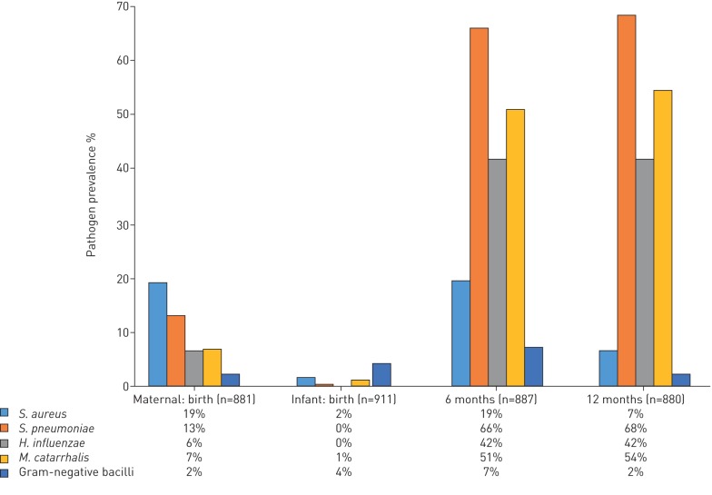 FIGURE 2