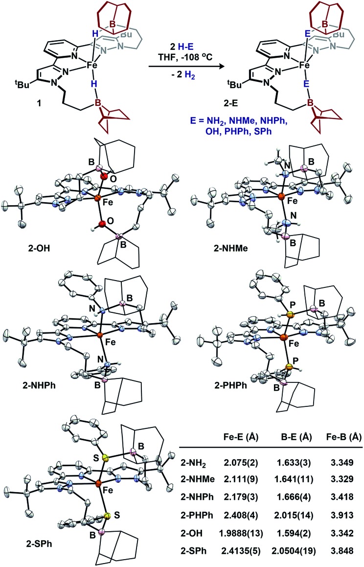 Fig. 4