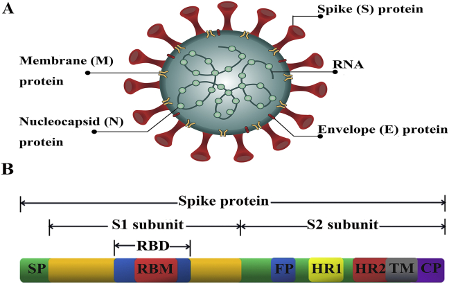 Figure 1