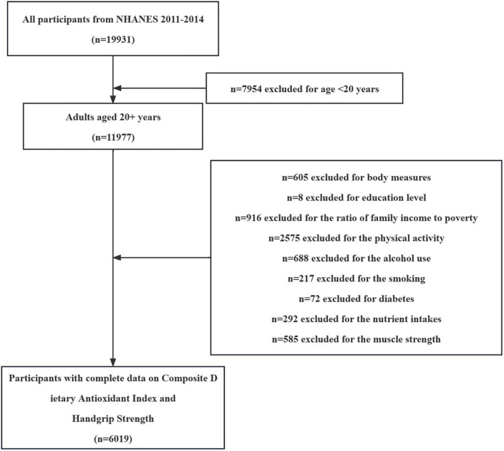 FIGURE 1