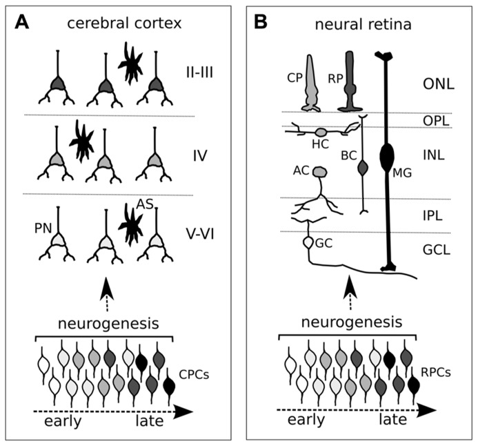 FIGURE 1