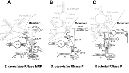 FIGURE 1.