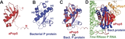 FIGURE 7.