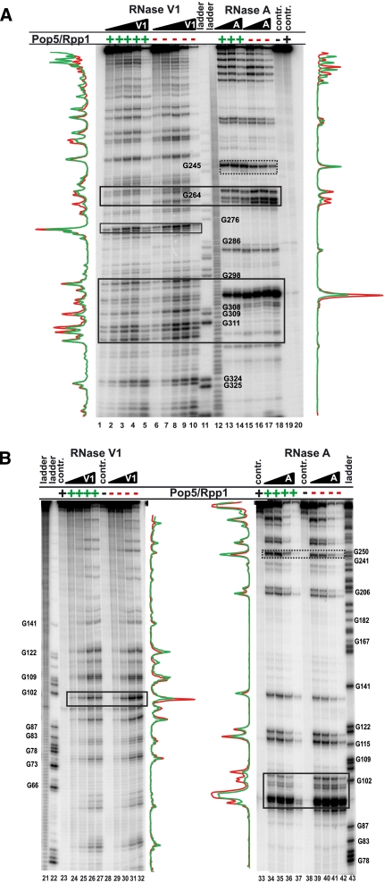 FIGURE 4.