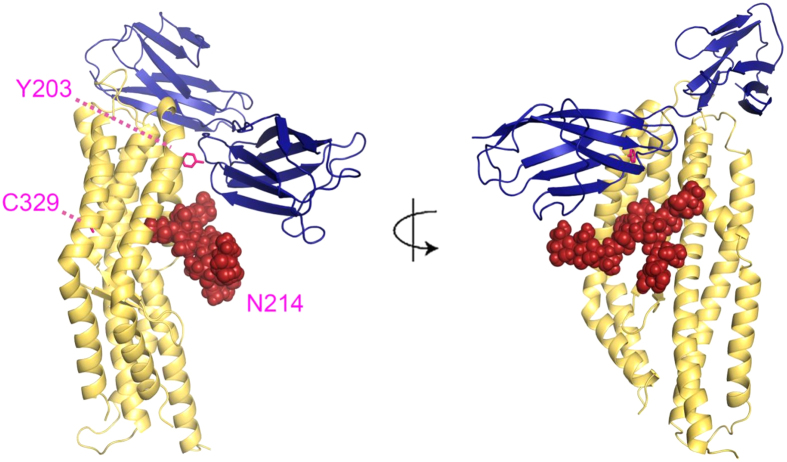 Figure 6