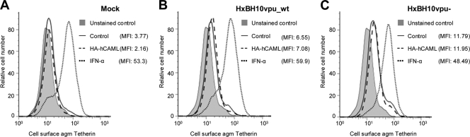 FIG. 2.