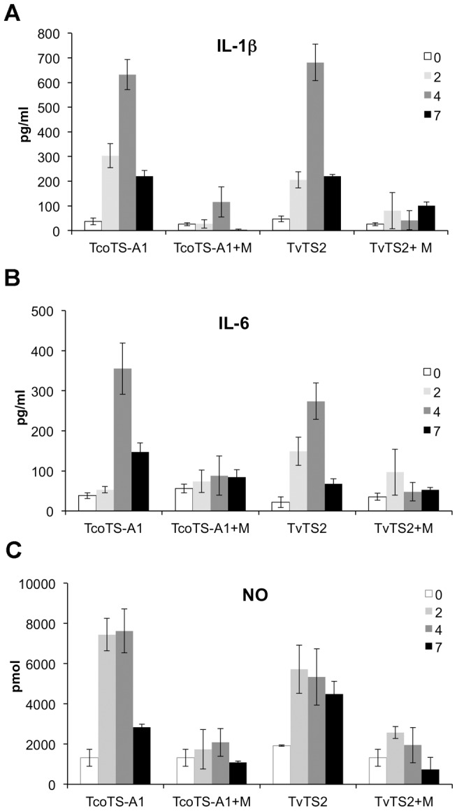 Figure 6