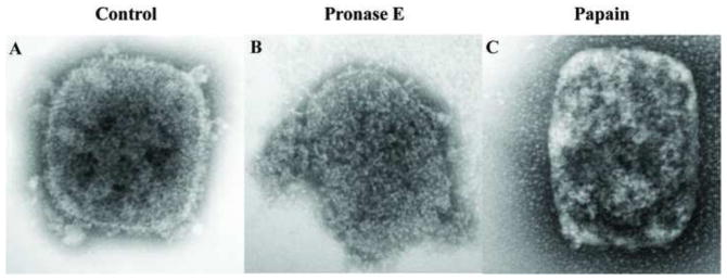 Fig. 6