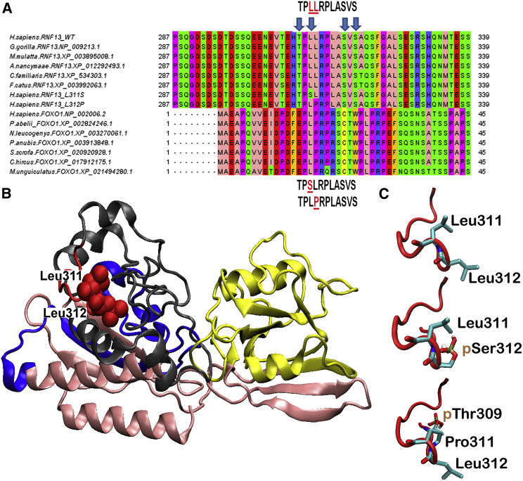 Figure 2