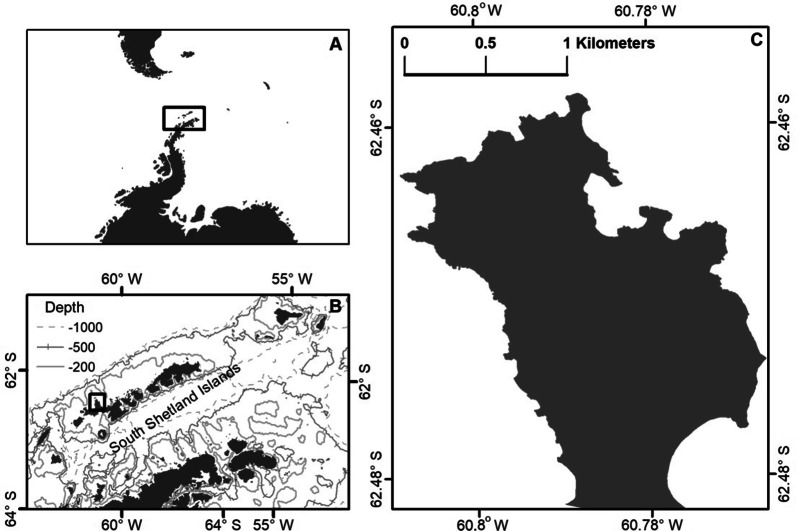 Fig. 1