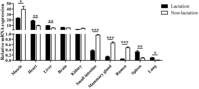 Figure 4