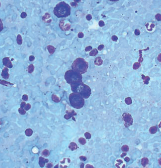 graphic file with name 10.1177_1098612X12470343-fig9.jpg