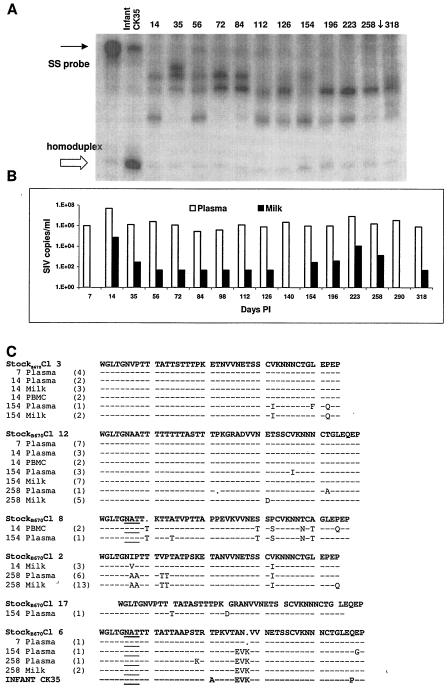 FIG. 5.