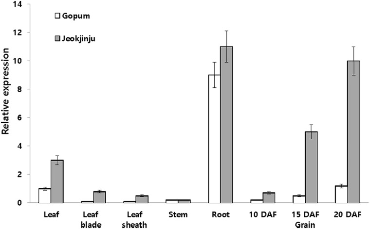 Fig 1