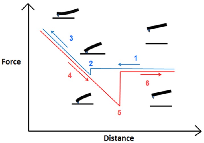 Figure 7.