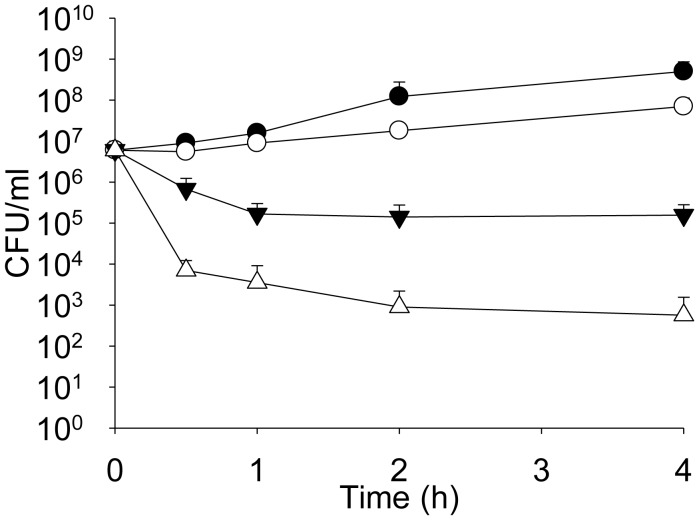 Figure 5.