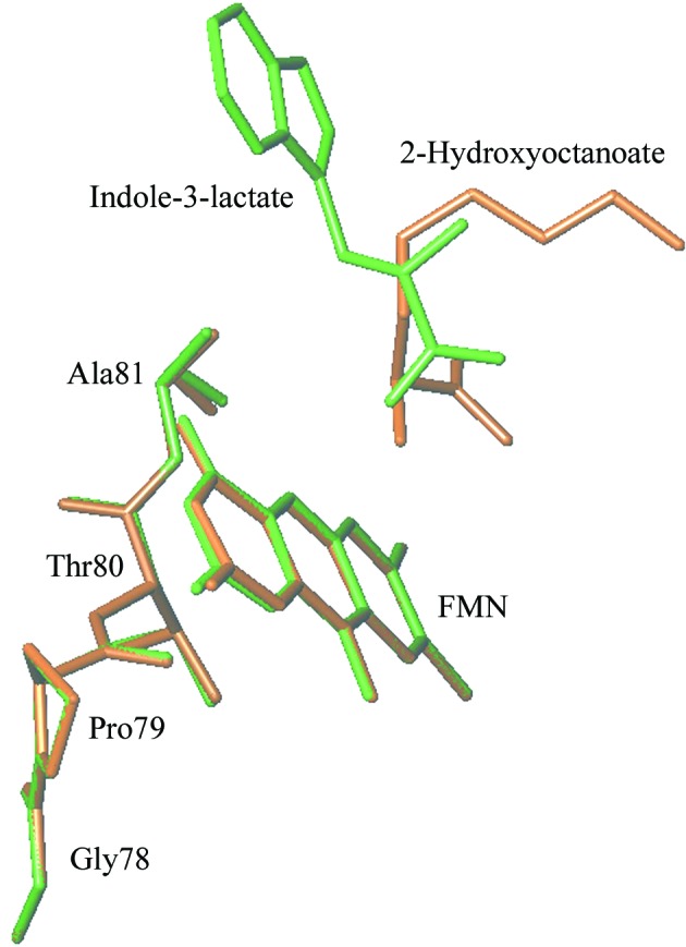 Figure 7