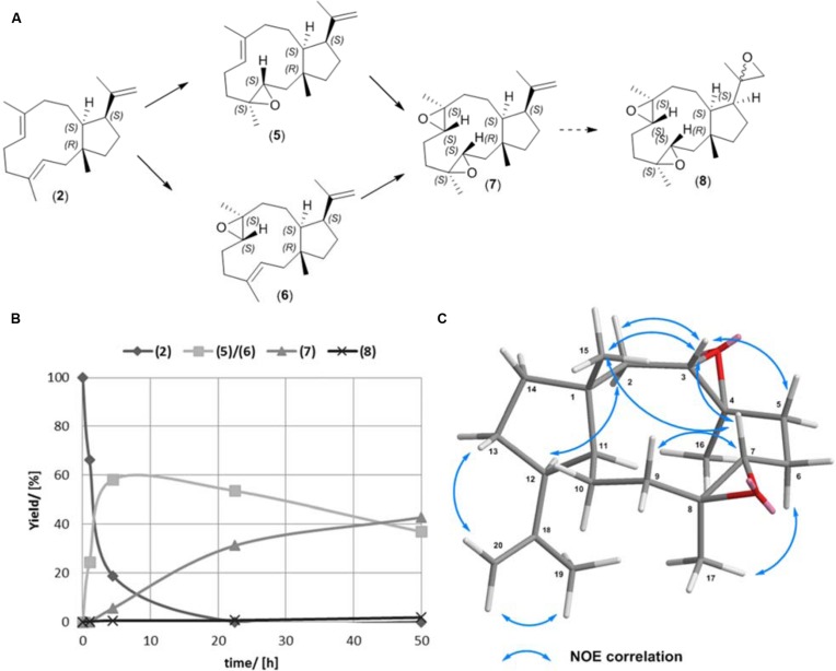 FIGURE 3