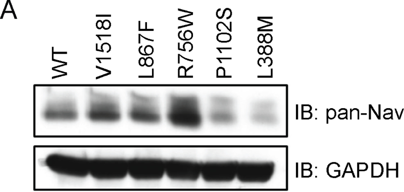 Figure 5: