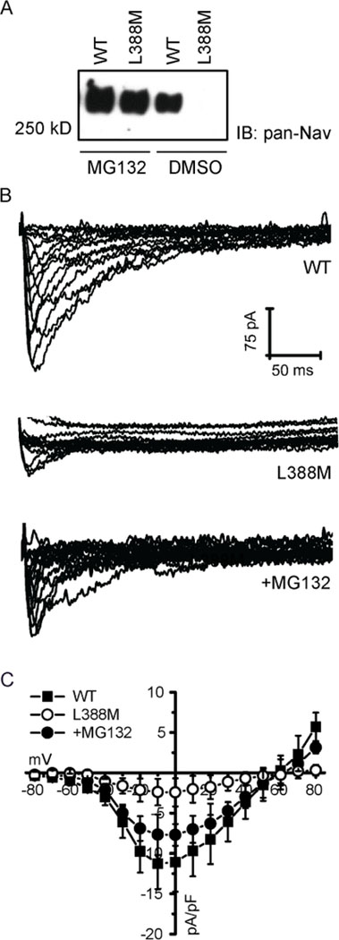 Figure 6: