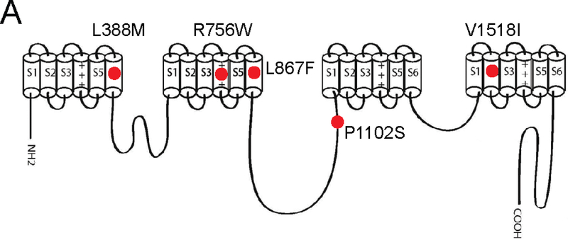 Figure 1: