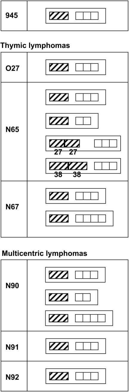 FIG. 10.