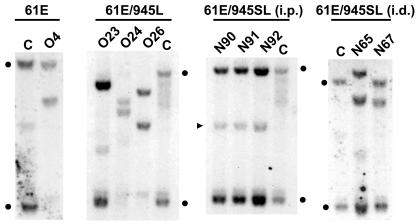 FIG. 5.