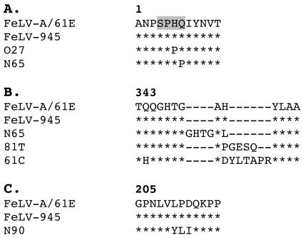 FIG. 8.