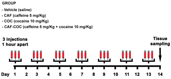 Fig 1