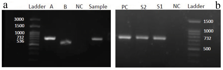 [Table/Fig-3]: