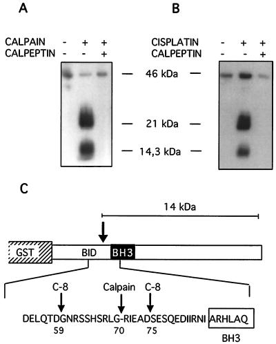 FIG. 5.