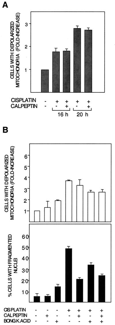 FIG. 8.